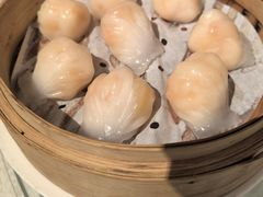 -金美华轩(东方路齐鲁店)