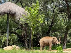 -北京野生动物园