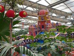 -南宫五洲植物乐园