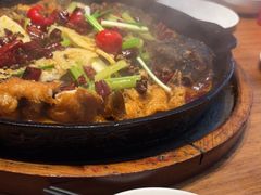 -老板恋上鱼(恒隆广场店)