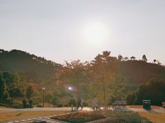 -东莞植物园