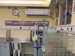 -动物缘宠物医院·骨科·猫科(西二环店)
