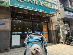 -天宠宠物医院24小时·急重症诊疗中心·全科·腔镜特色(和平分院)
