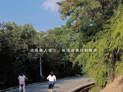 -火炉山森林公园