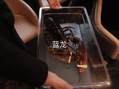 -皇朝会.经典传统粤菜(外滩店)
