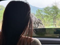 -石台牯牛降景区