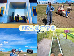 -186彩带河
