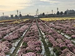 -中国天府农业博览园