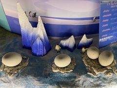 -帝企鹅自助餐厅•儿童岛•真企鹅(长隆企鹅酒店)