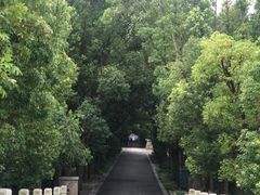 -同里国家湿地公园
