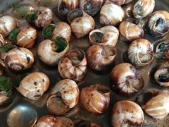 三拼蜗牛-金蜗牛