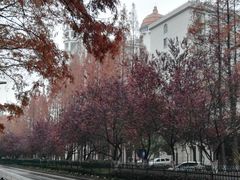 -罐罐打卤饭(一枝园店)