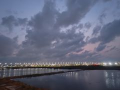 -大湾区中央湿地公园