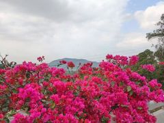 -广州市帽峰山景区