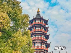 -绳金塔
