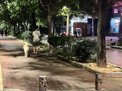 -老兰家传统烧烤炒菜泡馍(小南门店)