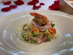 -蝶舍·MAISON PAPILLON