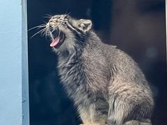 -青藏高原野生动物园