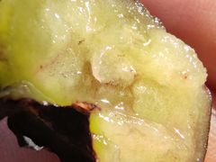 -洋洋爸雪糕(万科店)