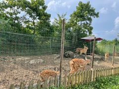 -云漫湖生态度假公园