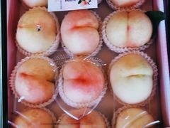 -南汇新场正宗水蜜桃采摘