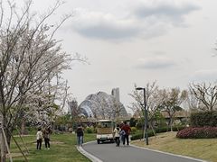 -上海植物园-4号门售票处