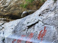 -陕西省红河谷森林公园