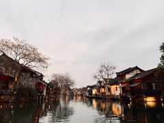 -乌镇西栅景区