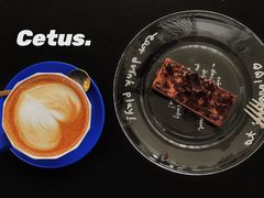 -Cetus coffee鲸鱼座咖啡·拼豆(二仙桥公园店)