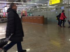 -谢列梅捷沃国际机场