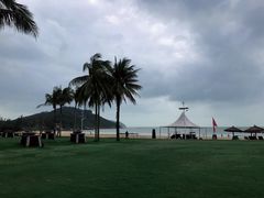 -采悦轩中餐厅·粤菜·海南菜(神州半岛喜来登度假酒店)
