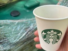 -上海滨江森林公园