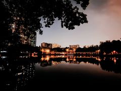 -荔湾湖公园