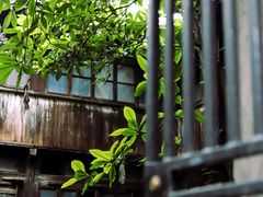 -书隐楼