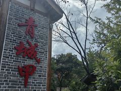 -青城甲(青城山店)