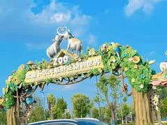 -海合安成都极地海洋公园