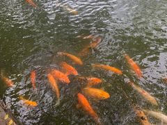 -星海公园(番禺区)