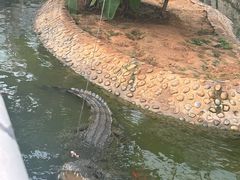 -石家庄市动物园