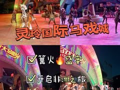 -灵玲国际马戏城