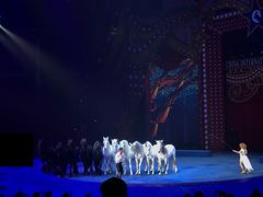 -珠海横琴长隆《卡卡虎奇遇记》