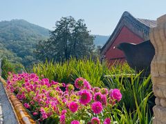 -潭柘寺景区