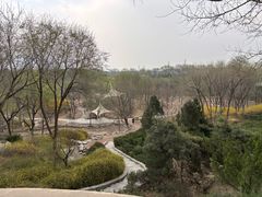 -滨河世纪广场公园