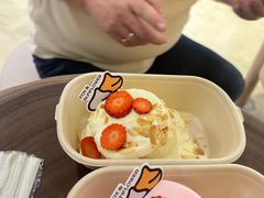 -狐狸和向日葵(北京路店)