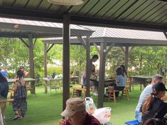 -玫瑰庄园·自助烧烤·烤全羊·团建拓展(龙泉山店)