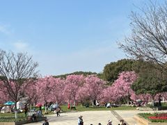 -凤凰沟景区