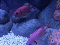 -成都浩海立方海洋公园