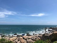 -广东惠东海龟国家级自然保护区