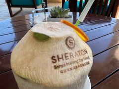 -三亚海棠湾喜来登度假酒店大堂吧