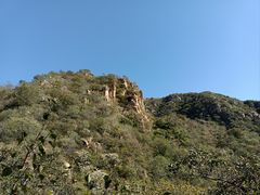 -大岭沟猕猴桃谷风景区