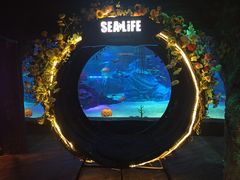 -沈阳海洋探索中心